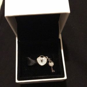 Pandora charms
